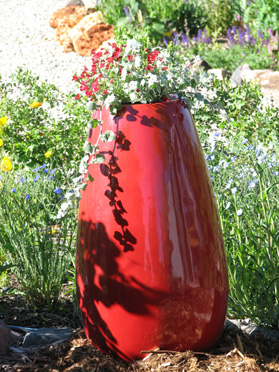 Red Container With Annuals